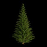 Christmassboom op zwarte achtergrond 3D teruggegeven, undecorated stock illustratie Christmassboom op zwarte achtergrond 3D teruggegeven, undecorated stock illustratie