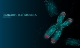 Chromosome DNA structure medicine concept. Low poly polygonal telomere genetic disease aging process. GMO engineering royalty free illustration Chromosome DNA structure medicine concept. Low poly polygonal telomere genetic disease aging process. GMO engineering royalty free illustration