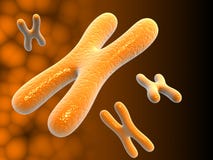 chromosomy royalty ilustracja chromosomy royalty ilustracja