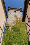 Church tower with colorful ivy in Warendorf stock photos Church tower with colorful ivy in Warendorf stock photos
