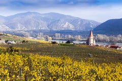 Church in Weissenkirchen. Wachau valley. Autumn colored leaves and vineyards. royalty free stock photos Church in Weissenkirchen. Wachau valley. Autumn colored leaves and vineyards. royalty free stock photos