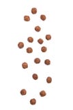 Chute de boules de céréale de chocolat d'isolement sur le fond blanc images libres de droits Chute de boules de céréale de chocolat d'isolement sur le fond blanc images libres de droits
