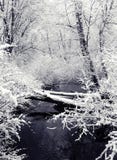 Chutes de neige et crique (vue 1) Images stock Chutes de neige et crique (vue 1) Images stock
