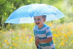 Chuva e luz do sol fotos de stock Chuva e luz do sol fotos de stock