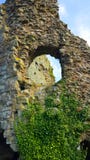 Château de Pevensey, le Sussex est photo libre de droits Château de Pevensey, le Sussex est photo libre de droits