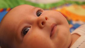 Chéri nouveau-née Petit bébé Bébé regardant dans la caméra Enfant Bébé adorable banque de vidéos Chéri nouveau-née Petit bébé Bébé regardant dans la caméra Enfant Bébé adorable banque de vidéos
