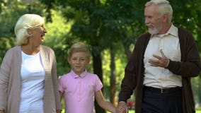 Chłopiec odprowadzenie z jego dziadkami w parku, cieszy się szczęśliwego czas wpólnie zbiory Chłopiec odprowadzenie z jego dziadkami w parku, cieszy się szczęśliwego czas wpólnie zbiory