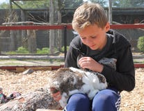 Chłopiec uderzania zwierzęcia domowego królik w zoo obraz stock Chłopiec uderzania zwierzęcia domowego królik w zoo obraz stock