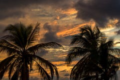 Ciel de coucher du soleil derrière des palmiers image stock Ciel de coucher du soleil derrière des palmiers image stock