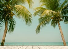 Ciel en bois de mer de plage de terrasse de noix de coco de palmiers pendant l'été Images libres de droits Ciel en bois de mer de plage de terrasse de noix de coco de palmiers pendant l'été Images libres de droits