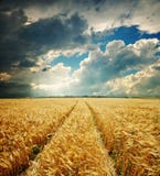 Ciel excessif et zone d'or photographie stock libre de droits Ciel excessif et zone d'or photographie stock libre de droits