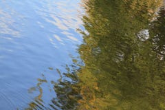 Cielo y árbol verde reflejados en agua foto de archivo libre de regalías Cielo y árbol verde reflejados en agua foto de archivo libre de regalías