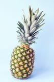 Cierre de la rebanada de la piña para arriba en un fondo azul fotografía de archivo libre de regalías Cierre de la rebanada de la piña para arriba en un fondo azul fotografía de archivo libre de regalías