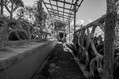 Cierre hermoso blanco y negro para arriba de un lugar de descanso fantástico fotografía de archivo libre de regalías Cierre hermoso blanco y negro para arriba de un lugar de descanso fantástico fotografía de archivo libre de regalías