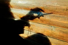 Cień zmysłowa dziewczyny sylwetka trzyma papieros w słonecznym dniu z drewnianym tłem - zbliżenie na ręce i papierosie zdjęcia stock Cień zmysłowa dziewczyny sylwetka trzyma papieros w słonecznym dniu z drewnianym tłem - zbliżenie na ręce i papierosie zdjęcia stock