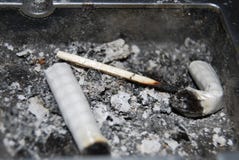 Cigarette butts squeezed royalty free stock image Cigarette butts squeezed royalty free stock image