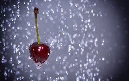 Ciliegia fra le gocce di acqua immagini stock libere da diritti Ciliegia fra le gocce di acqua immagini stock libere da diritti