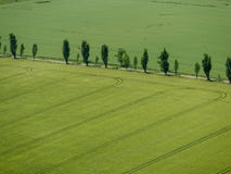 Cima giù la vista su terreno coltivabile con i campi, i prati ed il concetto di agricoltura della foresta fotografia stock Cima giù la vista su terreno coltivabile con i campi, i prati ed il concetto di agricoltura della foresta fotografia stock