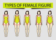 Cinco tipos de figuras femeninas, imagen stock de ilustración Cinco tipos de figuras femeninas, imagen stock de ilustración