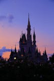 Cinderella Castle i Disneyland arkivbild Cinderella Castle i Disneyland arkivbild