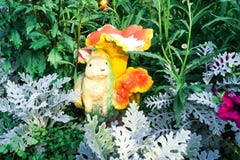 Cineraria на предпосылке зеленых листьев и скульптуре зайца в саде стоковые фото Cineraria на предпосылке зеленых листьев и скульптуре зайца в саде стоковые фото