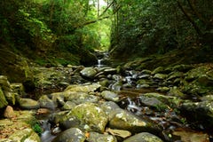 Cinq lacs jaillissent sur la montagne de Bach mA - Vietnam photos stock Cinq lacs jaillissent sur la montagne de Bach mA - Vietnam photos stock