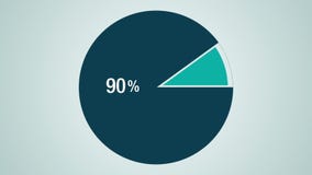 Pie Chart 90 10