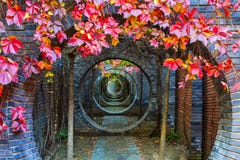 Circular corridor in autumn