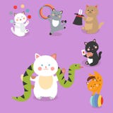 Circus cats vector cheerful illustration for kids with little domestic cartoon animals playing mammal Stock Photography Circus cats vector cheerful illustration for kids with little domestic cartoon animals playing mammal Stock Photography