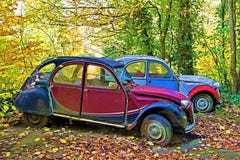 Citroen conservation, in Padley Gorge Woods, Grindleford. stock photos Citroen conservation, in Padley Gorge Woods, Grindleford. stock photos
