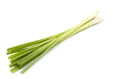 Citronella su bianco immagini stock libere da diritti Citronella su bianco immagini stock libere da diritti