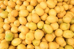 Citroner på en marknad i närbild royaltyfri bild Citroner på en marknad i närbild royaltyfri bild