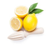 Citrons et presse-fruits mûrs frais images stock Citrons et presse-fruits mûrs frais images stock