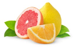 Isolated citrus fruits