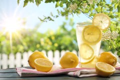 Citrus lemonade in garden setting.