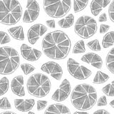 Citrus modell för sömlös handdrawn vattenfärg på vit bakgrund royaltyfri illustrationer Citrus modell för sömlös handdrawn vattenfärg på vit bakgrund royaltyfri illustrationer