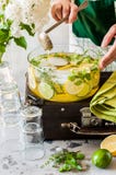 Citrus och Herb Lemonade arkivbilder Citrus och Herb Lemonade arkivbilder