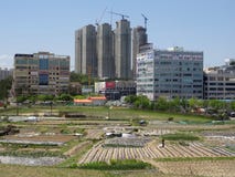 City growth: from small vegetable fields to modern skyscrapers