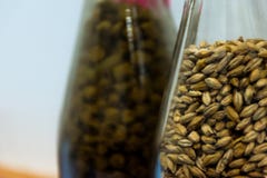Ciérrese encima del arroz de la malta o de la cebada en botella Como primer medio para el aprendizaje foto de archivo libre de regalías Ciérrese encima del arroz de la malta o de la cebada en botella Como primer medio para el aprendizaje foto de archivo libre de regalías
