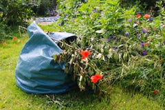 Ciérrese para arriba de bolso con la basura del jardín en hierba verde con las flores durante cultivar un huerto foto de archivo Ciérrese para arriba de bolso con la basura del jardín en hierba verde con las flores durante cultivar un huerto foto de archivo