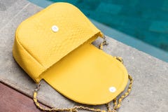Ciérrese para arriba de bolso de lujo del pitón femenino elegante del snakseskin al aire libre Bolso femenino costoso del estilo imagen de archivo libre de regalías Ciérrese para arriba de bolso de lujo del pitón femenino elegante del snakseskin al aire libre Bolso femenino costoso del estilo imagen de archivo libre de regalías