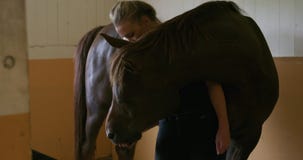 Ciérrese para arriba de la mujer que alimenta y que acaricia el caballo de la arabana en establo metrajes Ciérrese para arriba de la mujer que alimenta y que acaricia el caballo de la arabana en establo metrajes