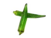 Ciò è l'immagine di giovane gombo verde fresco isolato sopra con fondo fotografia stock libera da diritti Ciò è l'immagine di giovane gombo verde fresco isolato sopra con fondo fotografia stock libera da diritti