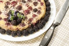 Clafoutis de Blackberry de plat avec les baies fraîches image stock Clafoutis de Blackberry de plat avec les baies fraîches image stock