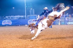 Clark County Fair et rodéo image stock Clark County Fair et rodéo image stock