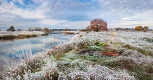 Classic Autumn Landscape With Lonely Orange Oak, Calm River And Frosty Grass And Rime. Frost On The Ground, First Pre-Winter Freez