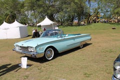 Classic luxury American convertible car on the lawn royalty free stock photography Classic luxury American convertible car on the lawn royalty free stock photography