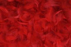 Clavette rouge images libres de droits Clavette rouge images libres de droits