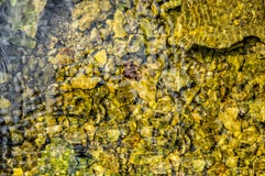 Clean spring water on the background of stones stock images Clean spring water on the background of stones stock images