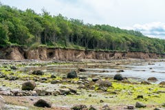 Cliff line on the weast coast of the german island Poel royalty free stock photography Cliff line on the weast coast of the german island Poel royalty free stock photography